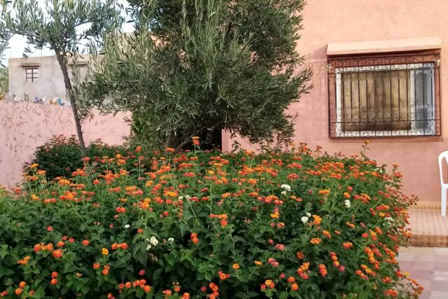 Maison à vendre – Route de l’Ourika, km 35
